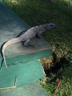 Empower Brokerage Insurance Agents Mexico Awards Trip 2016