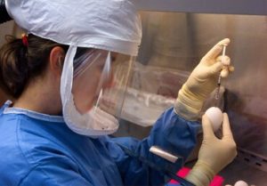 Updated CDC Quarantine Guidelines