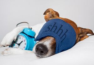 There are many strategies to help you get better sleep.